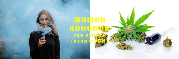 трава Арсеньев