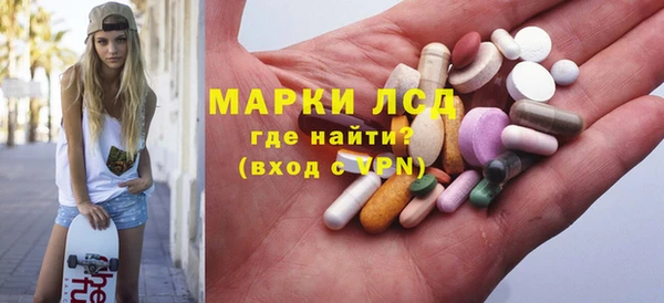 трава Арсеньев