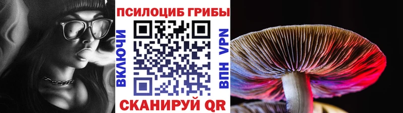 Псилоцибиновые грибы мицелий  наркотики  Малоярославец 