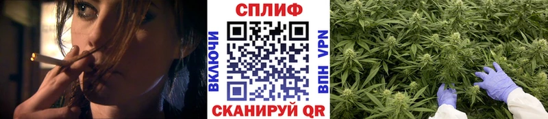 Марихуана OG Kush  Малоярославец 